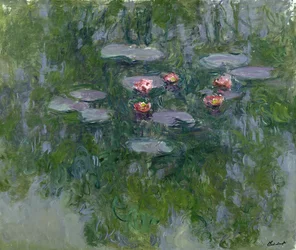 Nenúfares, 1916-19
